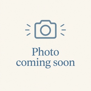Placeholder for a photo